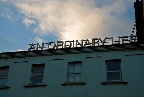 blog